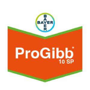 PROGIBB 10% X 10 GR