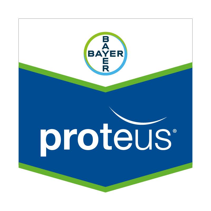 PROTEUS OD 170 X 200 ML