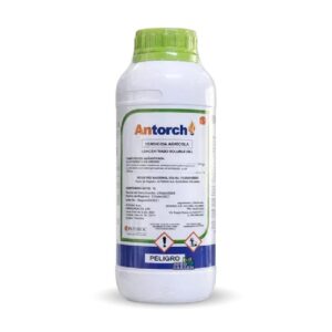ANTORCH LS X LT