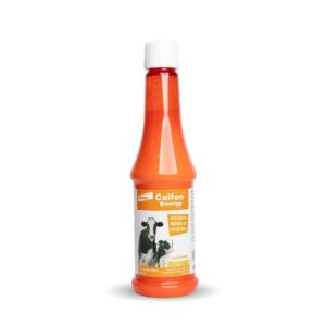 CALFON ENERGY ORAL X 350 ML