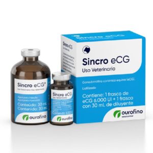 SINCRO ECG INY X 6,000 UI