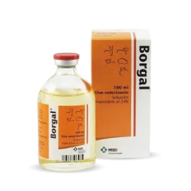 BORGAL INY X 100 ML