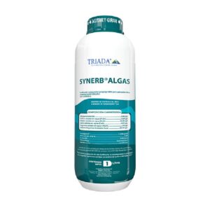 SYNERB  ALGAS * LT