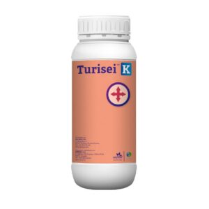 TURISEI K X LT
