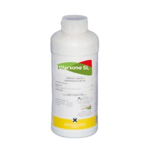 PILARXONE SL X LT