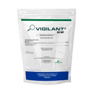 VIGILANT X KG