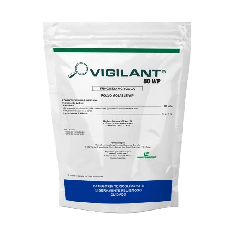 VIGILANT X KG