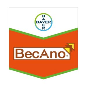 BECANO SC 500 X LT