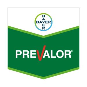 PREVALOR SL 840 X LT