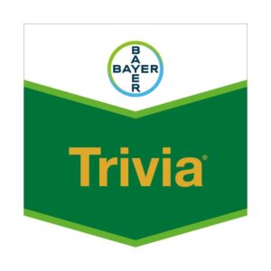 TRIVIA WP 72.7 X 400 GR