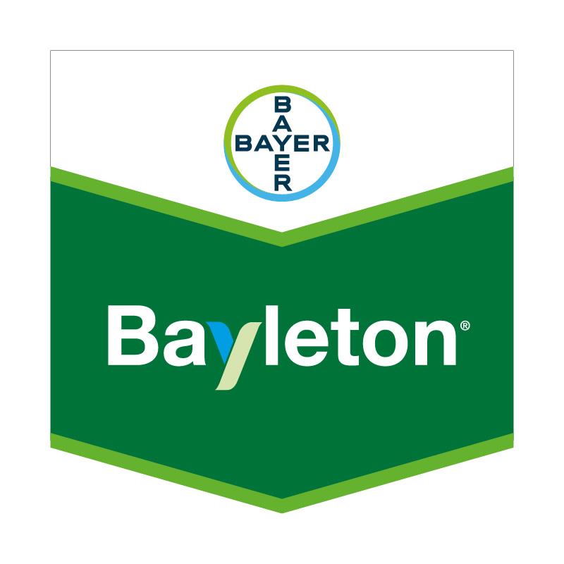 BAYLETON EC 250 X 20 LT