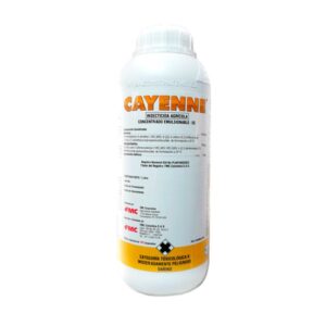 CAYENNE EC X LT