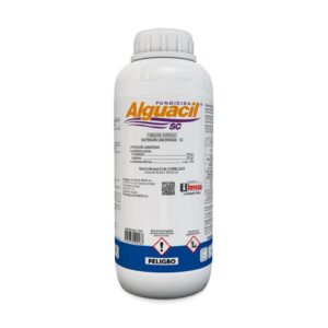 ALGUACIL X LT