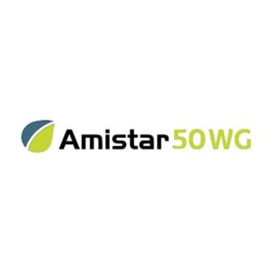 AMISTAR 50 WG X 40 GR