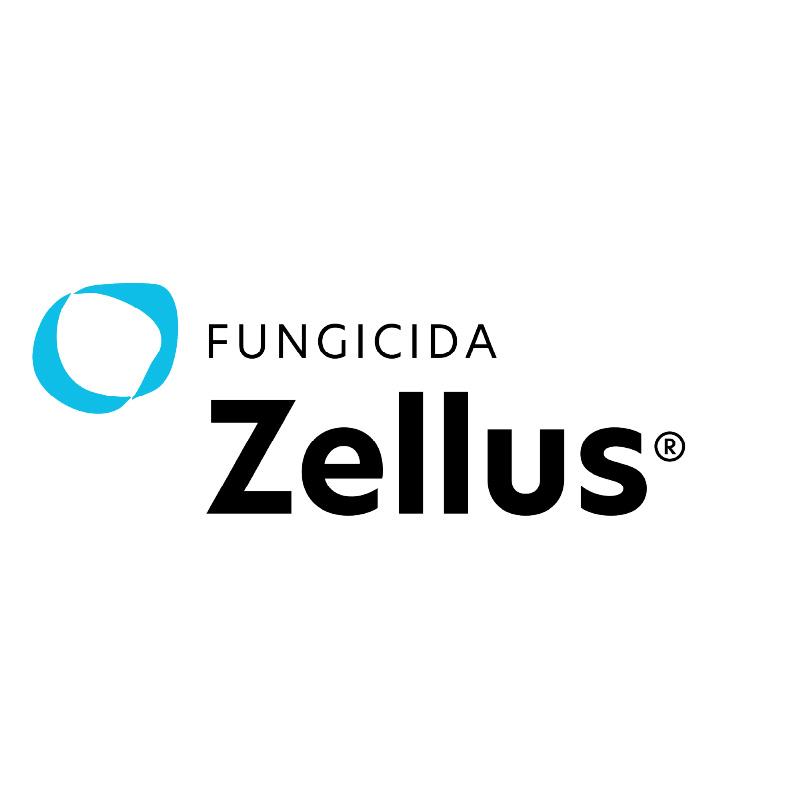 ZELLUS 50 WP X 100 GR