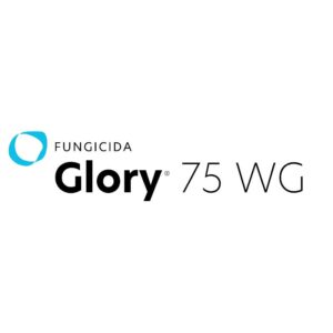GLORY 75 WG X KG
