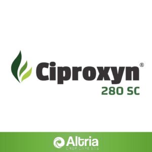 CIPROXIN 280 SC X 20 LT