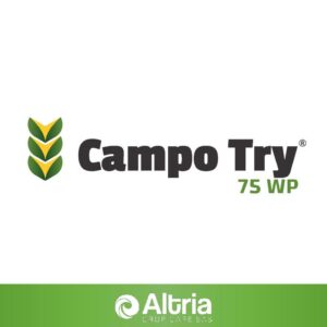 CAMPOTRY X KG