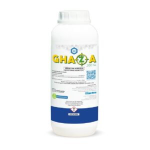GHAZA 200 SL X LT