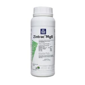 ZINTRAC MgB X LT