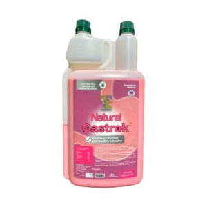 NATURAL GASTROK X LITRO