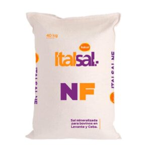 ITALSAL NF X 40 KG