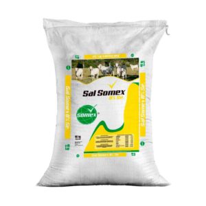 SAL SOMEX 8% X 40 KG