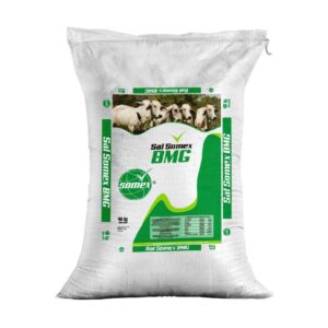 SAL SOMEX BMG X 40 KG