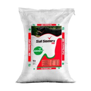 SAL SOMEX MB X 10 KG