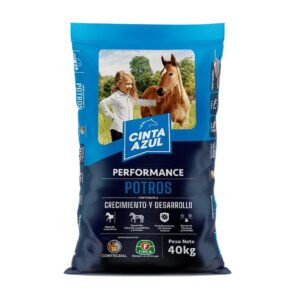 CINTA AZUL POTROS P. X 40 KG
