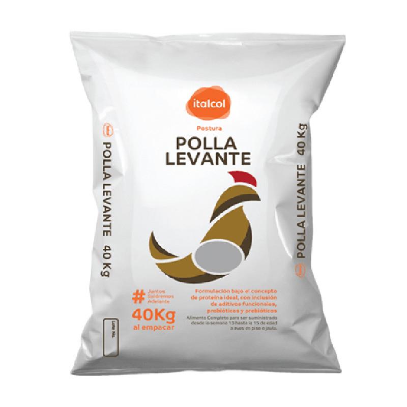 POLLA LEVANTE QUEB X 40 KG