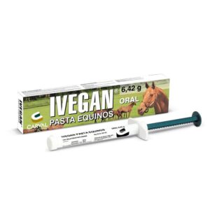 IVEGAN PASTA JGA X 6.42 GR