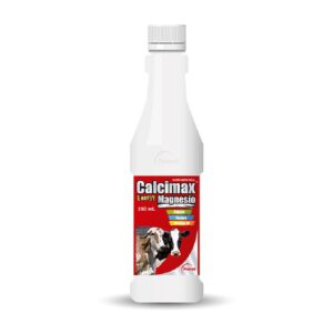 CALCIMAX ENERGY X 350 ML