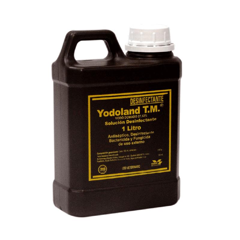 YODOLAND X LT