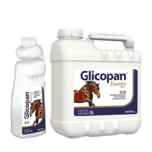 GLICOPAN ENERGY X LT