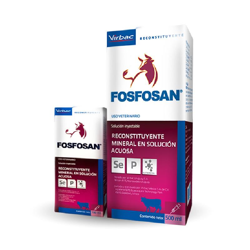 FOSFOSAN INY X 100 ML