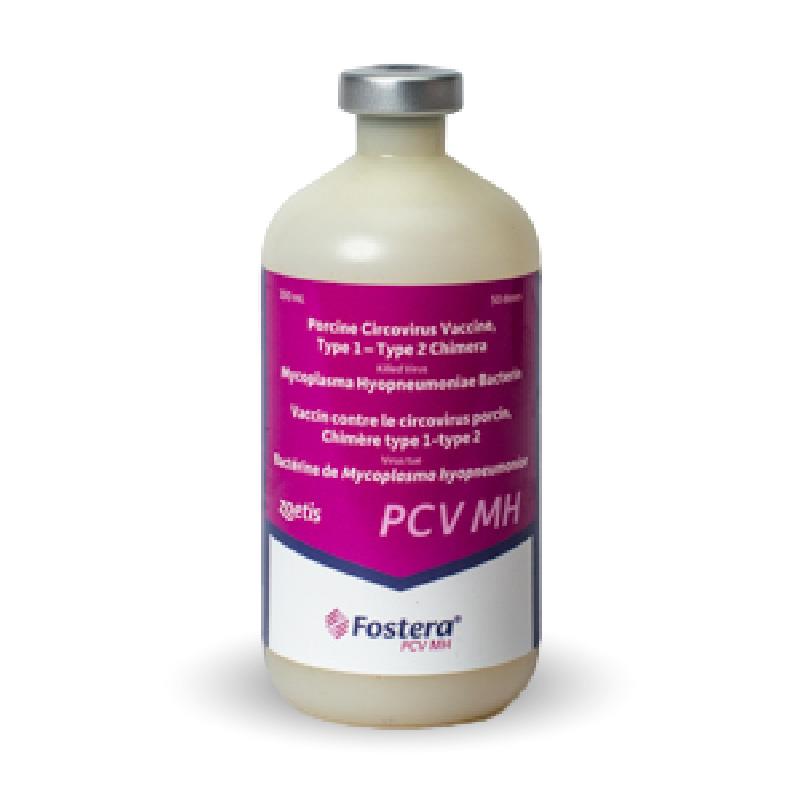 VACUNA FOSTERA PCV MH FC X 50 DOSIS