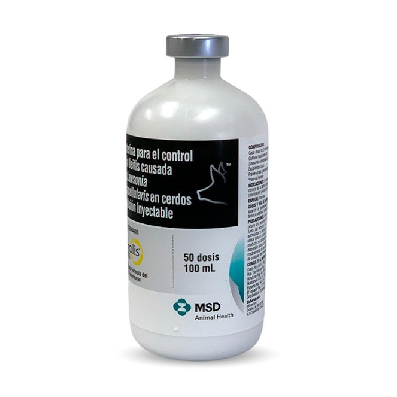 PORCILIS ILEITIS X 100 ML