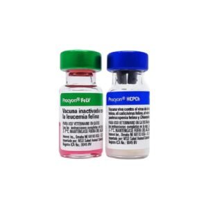 VACUNA PROCYON HCPCH + FELV 1 DOSIS