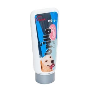 BRILLO DENTAL CARE X 60 GR