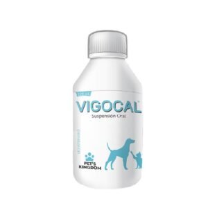 VIGOCAL ORAL X 120 ML