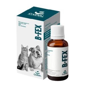 B-FEX X 60 ML